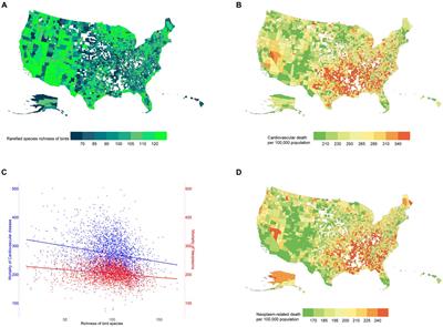 Geographical association of biodiversity with cancer and cardiovascular mortality rates: analysis of 39 distinct conditions